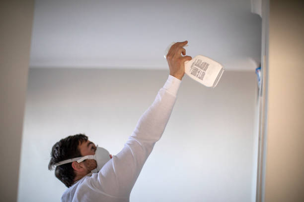 Best Mold Cleaning Services  in Dorr, MI