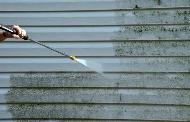 Mold Testing and Removal in Dorr, MI